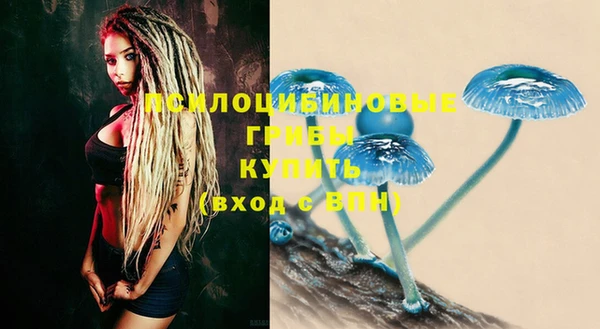 jwh Козельск
